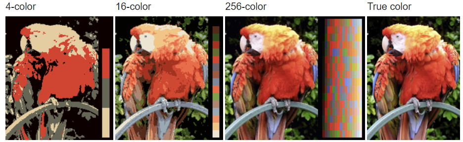 color bits
