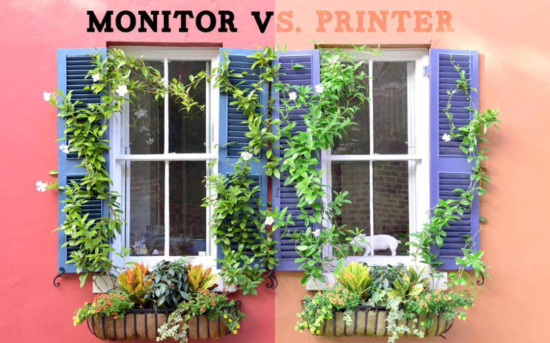 monitor vs printer
